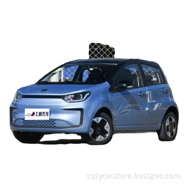 Mini car Flower Fairy sol 2023 Annual 301 KM White Orchid 36kW electric cars made in china electric small electric smart car